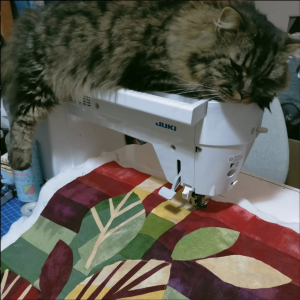 screenshot 2025 10 09 alle 09.28.27