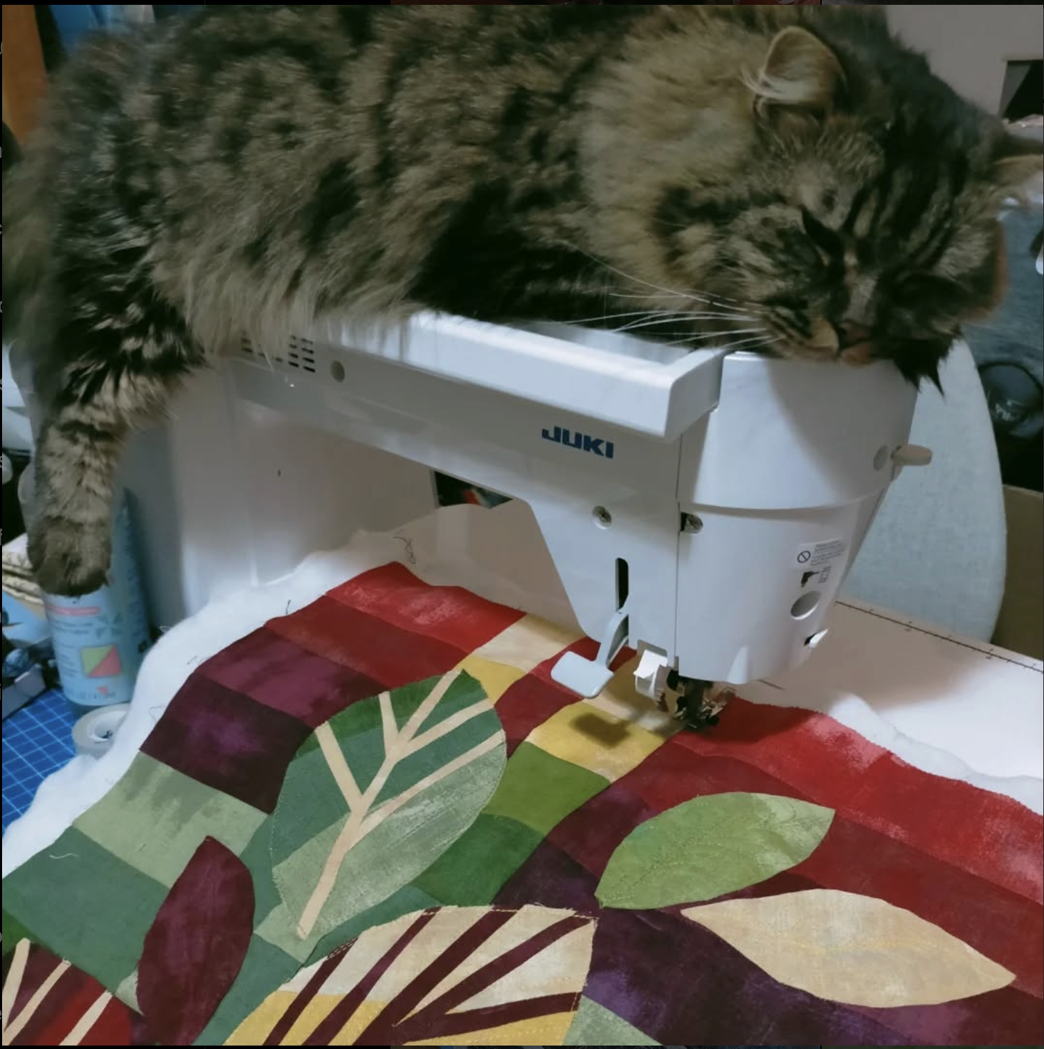 screenshot 2025 10 09 alle 09.28.27